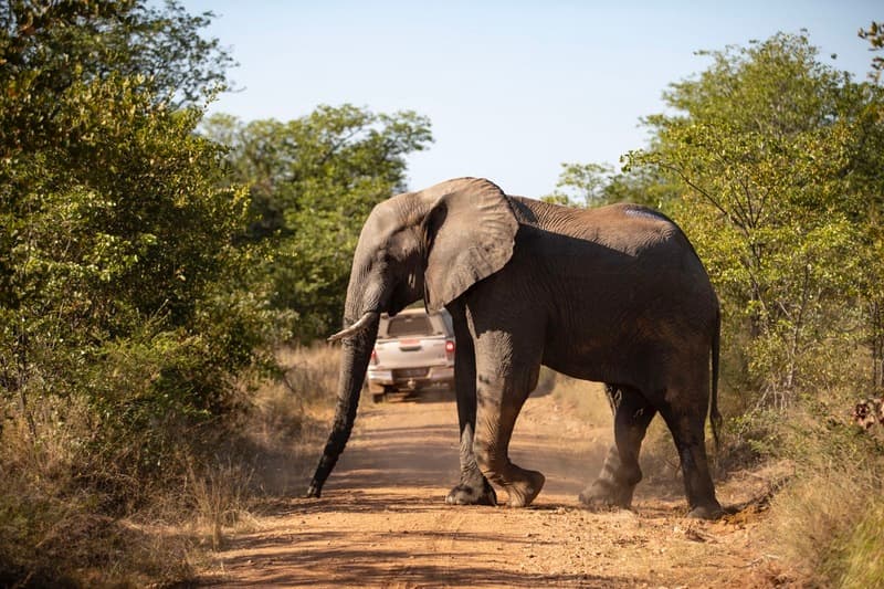Preserving threatened species and habitats