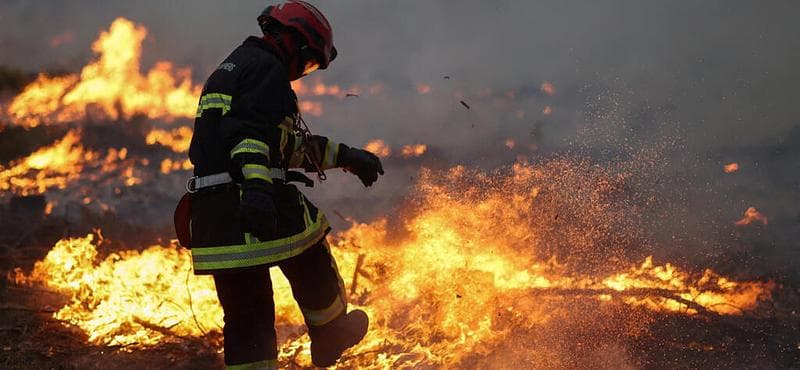 Let's support the victims of the wildfires in France