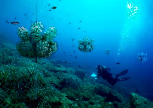 hours to identify fish spawning areas
