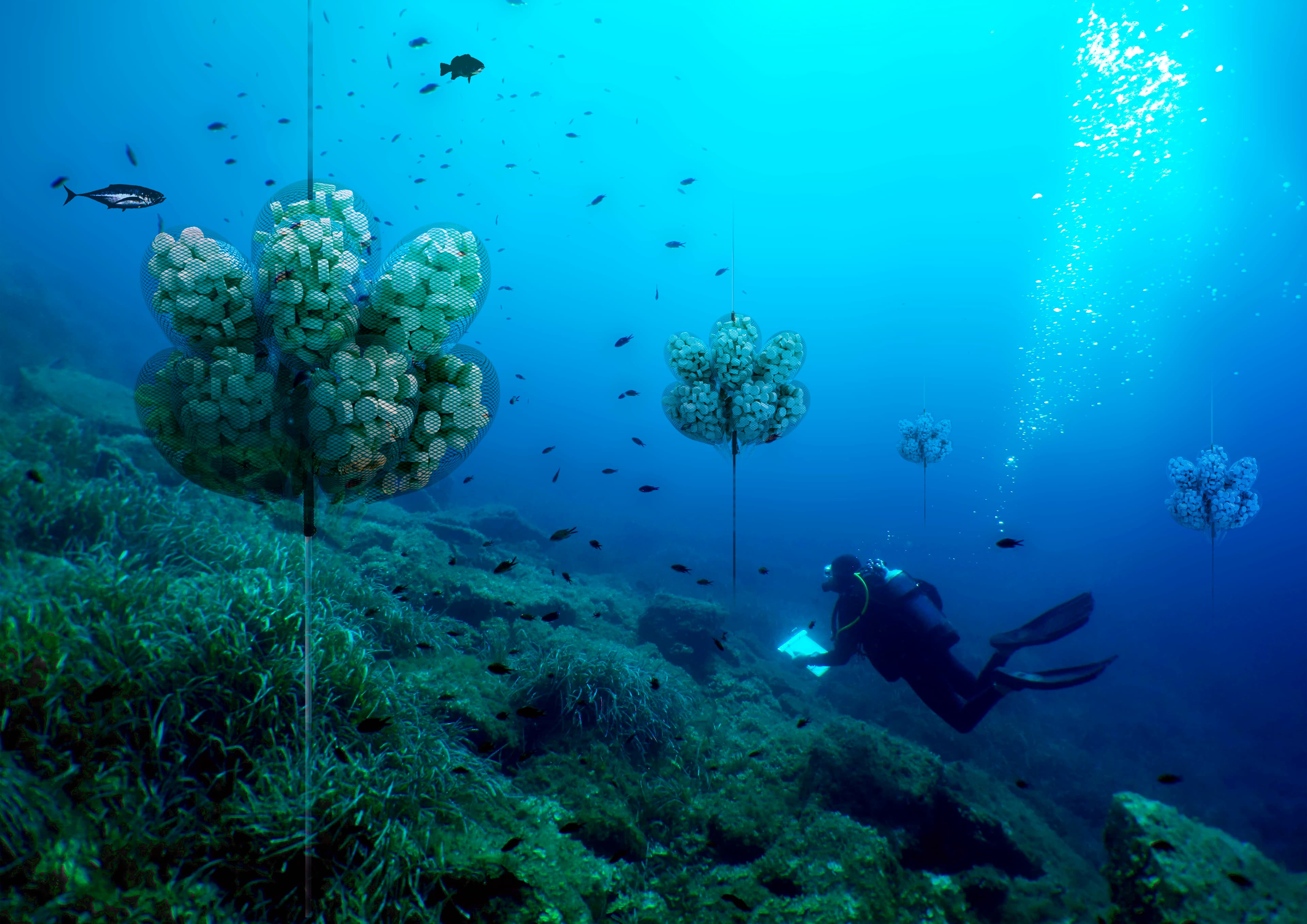 Financiamento de pesquisas para preservar o oceano